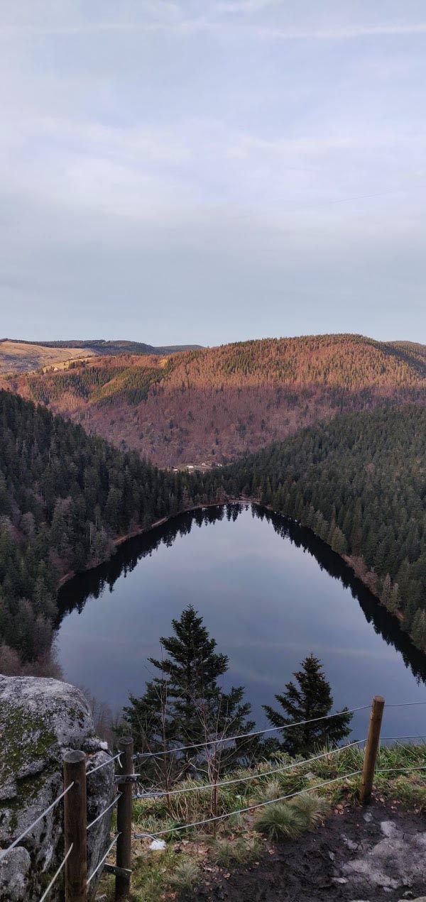 Image de Déchus du JV Destiny